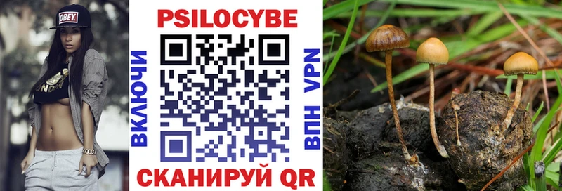 Псилоцибиновые грибы Magic Shrooms  Купить  Нурлат 